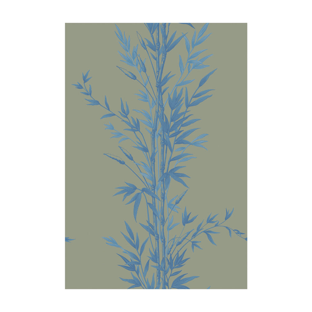 Bamboo Blue On Khaki by Cole & Son Wallcovering COLE & SON ARCHIVE ANTHOLOGY PAPER - 100% United Kingdom Horizontal: and Vertical: 30 20.5 - Fabric Carolina -