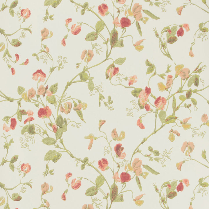 Sweet Pea Pink by Cole & Son Wallcovering COLE & SON ARCHIVE ANTHOLOGY PAPER - 100% United Kingdom - Horizontal: - and Vertical: 15 20.5 - Fabric Carolina -