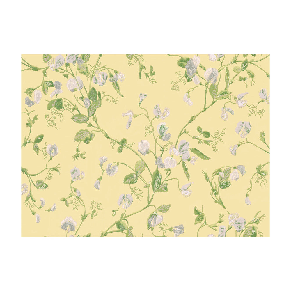 Sweet Pea Yellow by Cole & Son Wallcovering COLE & SON ARCHIVE ANTHOLOGY PAPER - 100% United Kingdom Horizontal: and Vertical: 15 20.5 - Fabric Carolina -