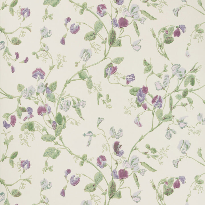 Sweet Pea Violet by Cole & Son Wallcovering Cole & Son Wallcovering Sweet Pea VioletWallcovering COLE & SON ARCHIVE ANTHOLOGY PAPER - 100% United Kingdom </p><p>Repeat: H: , V: 15 20.5 - Fabric Carolina -