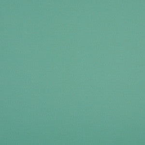 10104-01 by Charlotte Fabric