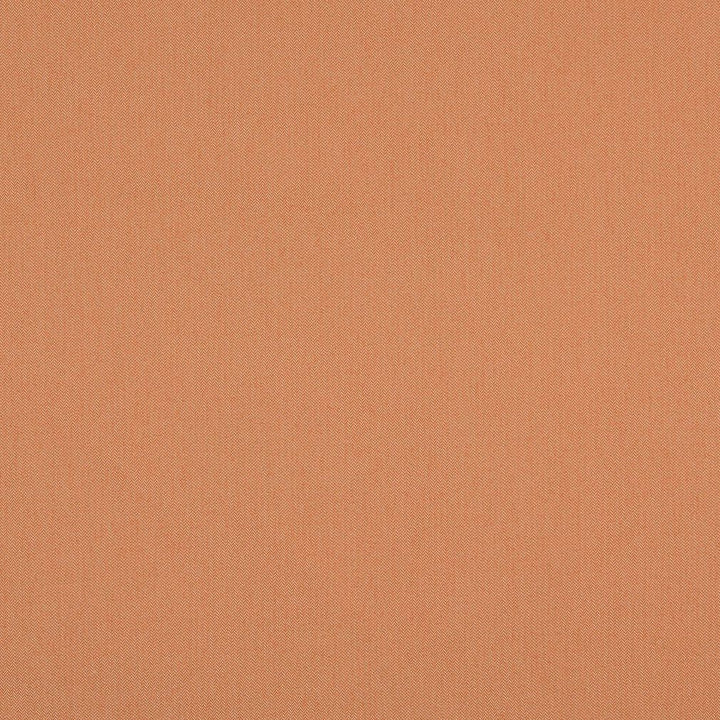 10104-07 by Charlotte Fabric Outdoor/Indoor Wovens 100% Solution Dyed Woven Olefin Made In USA Exceeds 100,000 Wyzenbeek Rubs (Heavy Duty) No Repeat 54 Inches - Fabric Carolina -