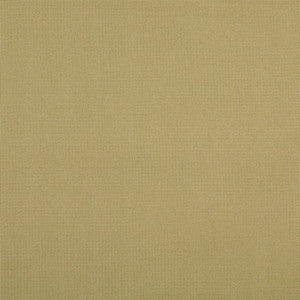10108-01 by Charlotte Fabric