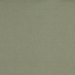 10108-02 by Charlotte Fabric