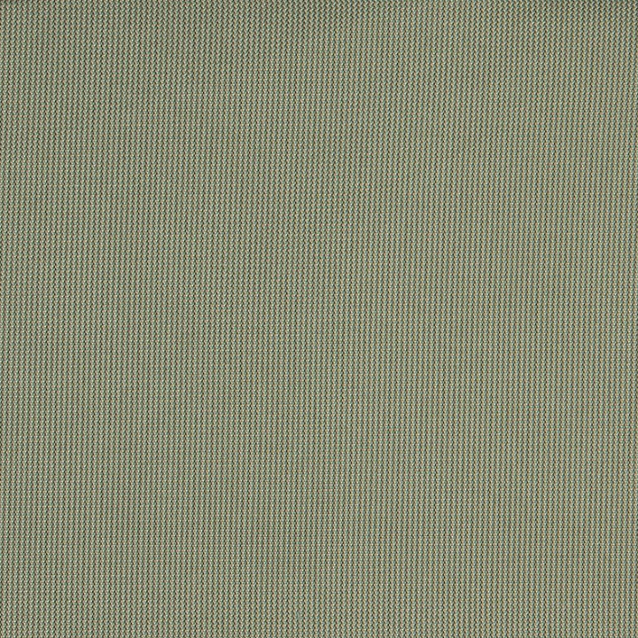 10108-02 by Charlotte Fabric Outdoor/Indoor Wovens 100% Solution Dyed Woven Olefin Made In USA Exceeds 100,000 Wyzenbeek Rubs (Heavy Duty) No Repeat 54 Inches - Fabric Carolina -