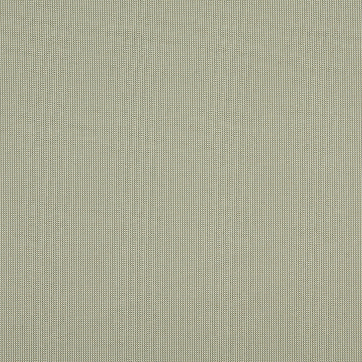 10108-04 by Charlotte Fabric Outdoor/Indoor Wovens 100% Solution Dyed Woven Olefin Made In USA Exceeds 100,000 Wyzenbeek Rubs (Heavy Duty) No Repeat 54 Inches - Fabric Carolina -