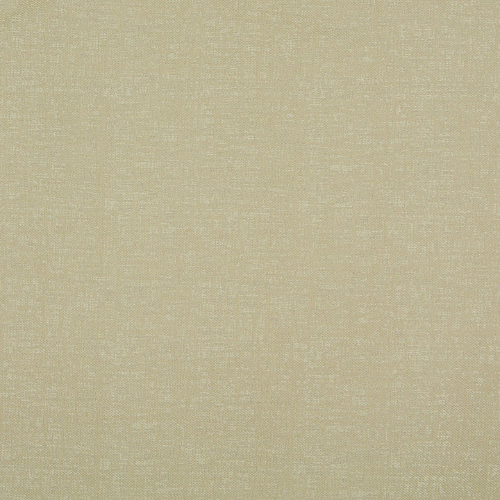 10109-02 by Charlotte Fabric Outdoor/Indoor Wovens 100% Solution Dyed Woven Olefin Made In USA Exceeds 100,000 Wyzenbeek Rubs (Heavy Duty) </p><p>Repeat: No Repeat 54 Inches - Fabric Carolina -