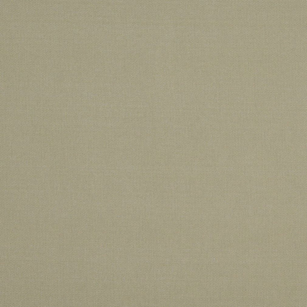 10111-02 by Charlotte Fabric Outdoor/Indoor Wovens 100% Solution Dyed Woven Olefin Made In USA Exceeds 100,000 Wyzenbeek Rubs (Heavy Duty) </p><p>Repeat: No Repeat 54 Inches - Fabric Carolina -