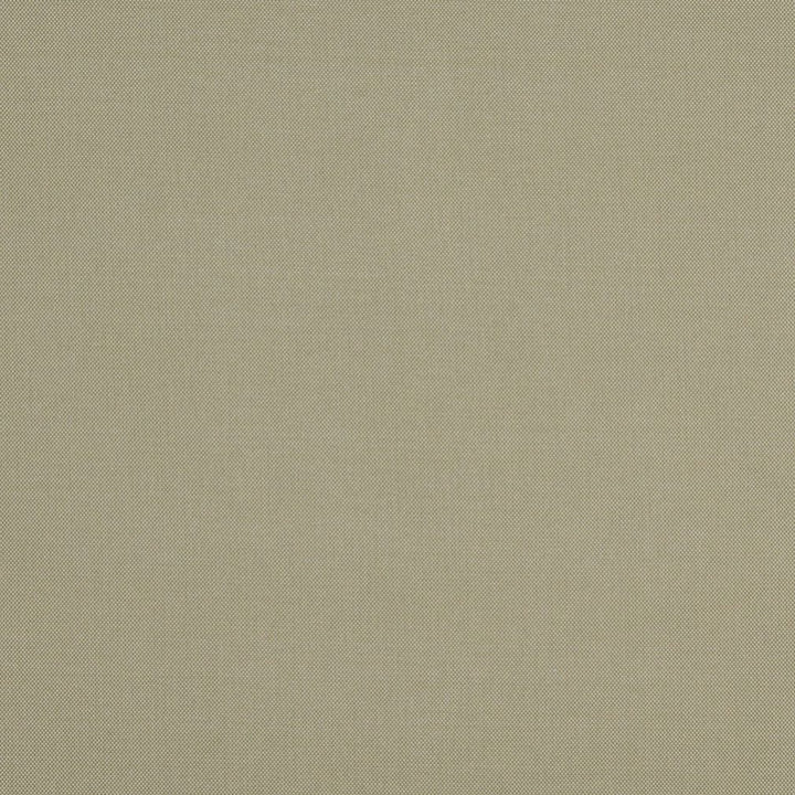 10111-02 by Charlotte Fabric Outdoor/Indoor Wovens 100% Solution Dyed Woven Olefin Made In USA Exceeds 100,000 Wyzenbeek Rubs (Heavy Duty) </p><p>Repeat: No Repeat 54 Inches - Fabric Carolina -