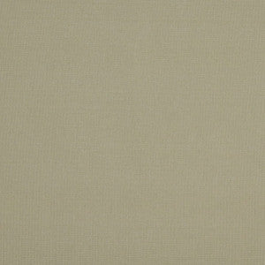 10111-02 by Charlotte Fabric
