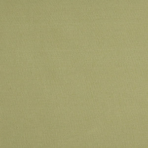 10111-04 by Charlotte Fabric