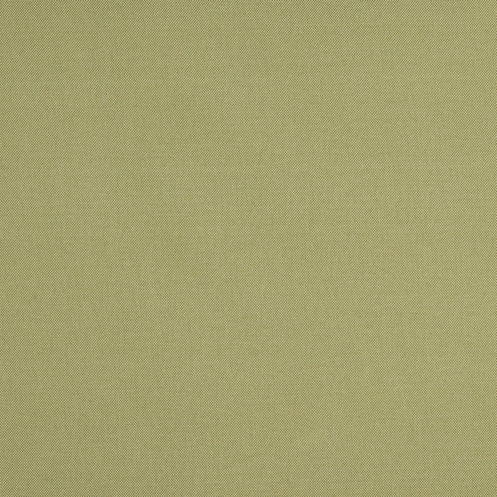 10111-04 by Charlotte Fabric Outdoor/Indoor Wovens 100% Solution Dyed Woven Olefin Made In USA Exceeds 100,000 Wyzenbeek Rubs (Heavy Duty) </p><p>Repeat: 54 Inches - Fabric Carolina -