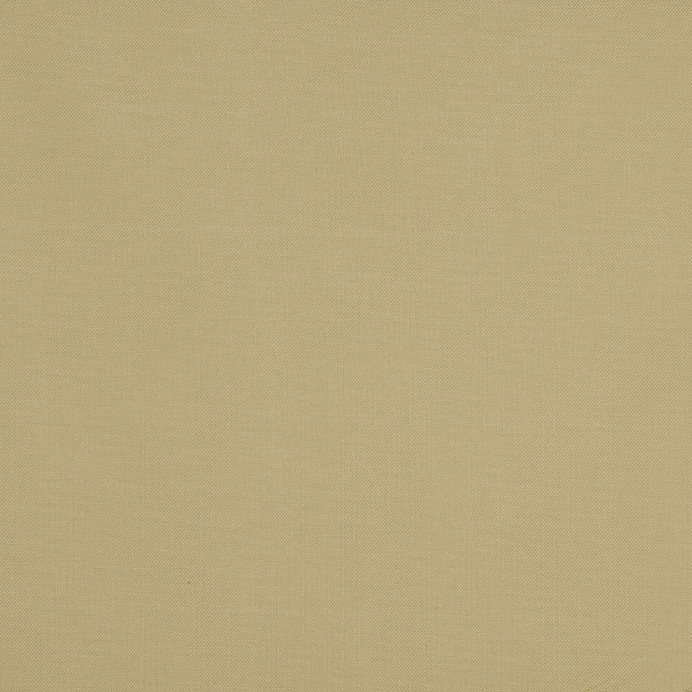 10111-05 by Charlotte Fabric Outdoor/Indoor Wovens 100% Solution Dyed Woven Olefin Made In USA Exceeds 100,000 Wyzenbeek Rubs (Heavy Duty) No Repeat 54 Inches - Fabric Carolina -