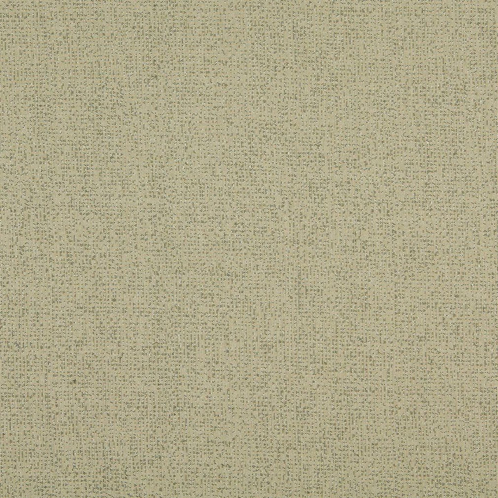10116-01 by Charlotte Fabric Outdoor/Indoor Wovens 100% Solution Dyed Woven Olefin Made In USA Exceeds 100,000 Wyzenbeek Rubs (Heavy Duty) No Repeat 54 Inches - Fabric Carolina -