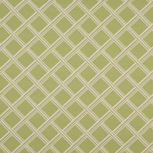 10118-01 by Charlotte Fabric