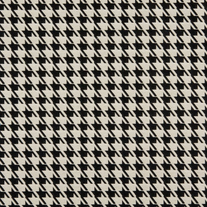 10119-01 by Charlotte Fabric Outdoor/Indoor Wovens 100% Solution Dyed Woven Olefin Made In USA Exceeds 100,000 Wyzenbeek Rubs (Heavy Duty) Horizontal: 1" x Vertical: 1.25" 54 Inches - Fabric Carolina -