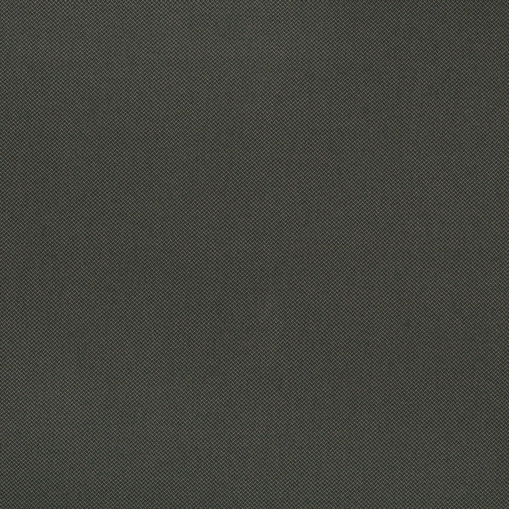 10121-01 by Charlotte Fabric Outdoor/Indoor Wovens 100% Solution Dyed Woven Olefin Made In USA Exceeds 100,000 Wyzenbeek Rubs (Heavy Duty) No Repeat 54 Inches - Fabric Carolina -