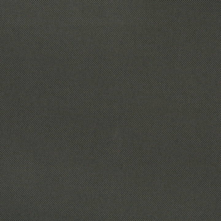 10121-01 by Charlotte Fabric Outdoor/Indoor Wovens 100% Solution Dyed Woven Olefin Made In USA Exceeds 100,000 Wyzenbeek Rubs (Heavy Duty) </p><p>Repeat: 54 Inches - Fabric Carolina -