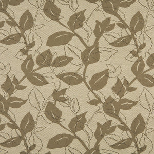 10128-01 by Charlotte Fabric