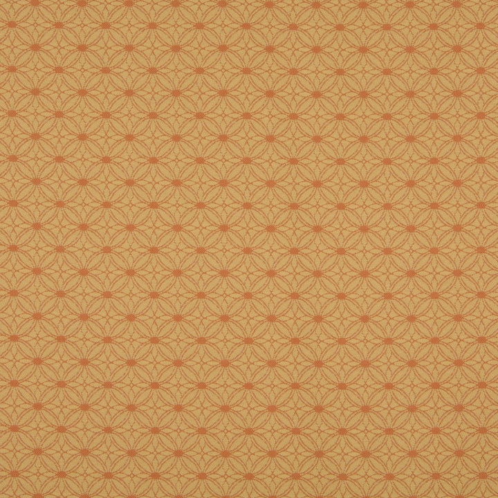 10134-01 by Charlotte Fabric Outdoor/Indoor Wovens 100% Solution Dyed Woven Olefin Made In USA Exceeds 100,000 Wyzenbeek Rubs (Heavy Duty) Horizontal: 1.5" x Vertical: 1.5" 54 Inches - Fabric Carolina -