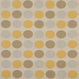 10136-01 by Charlotte Fabric