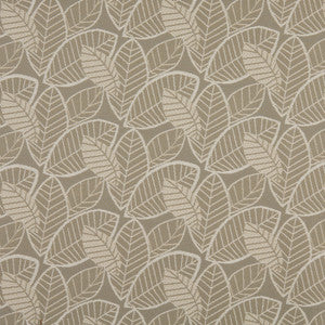 10137-01 by Charlotte Fabric