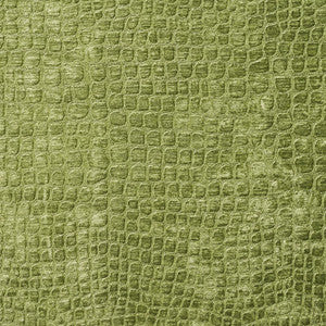 10151-01 by Charlotte Fabric