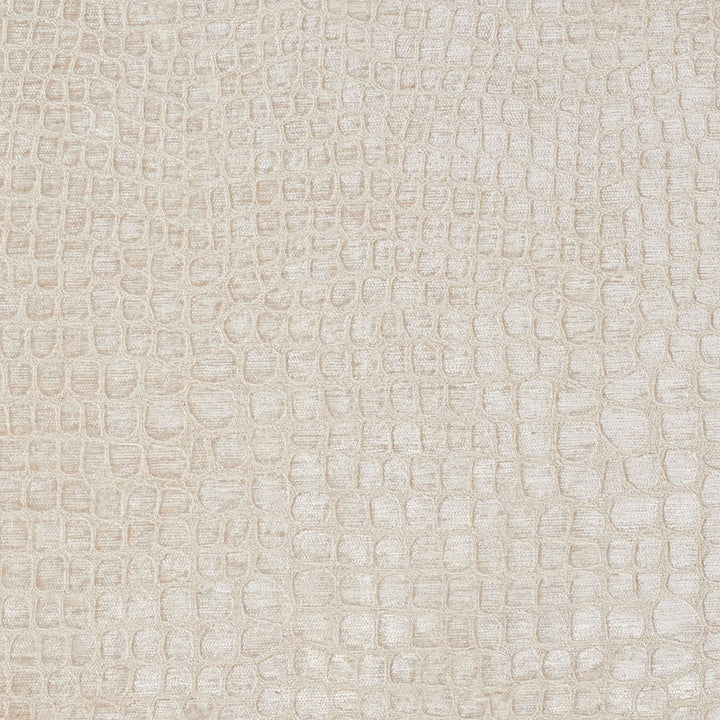 10151-02 by Charlotte Fabric Gemstones 100% Woven Polyester Velvet Asia Exceeds 120,000 Wyzenbeek Rubs (Heavy Duty) No Repeat 54 Inches - Fabric Carolina -