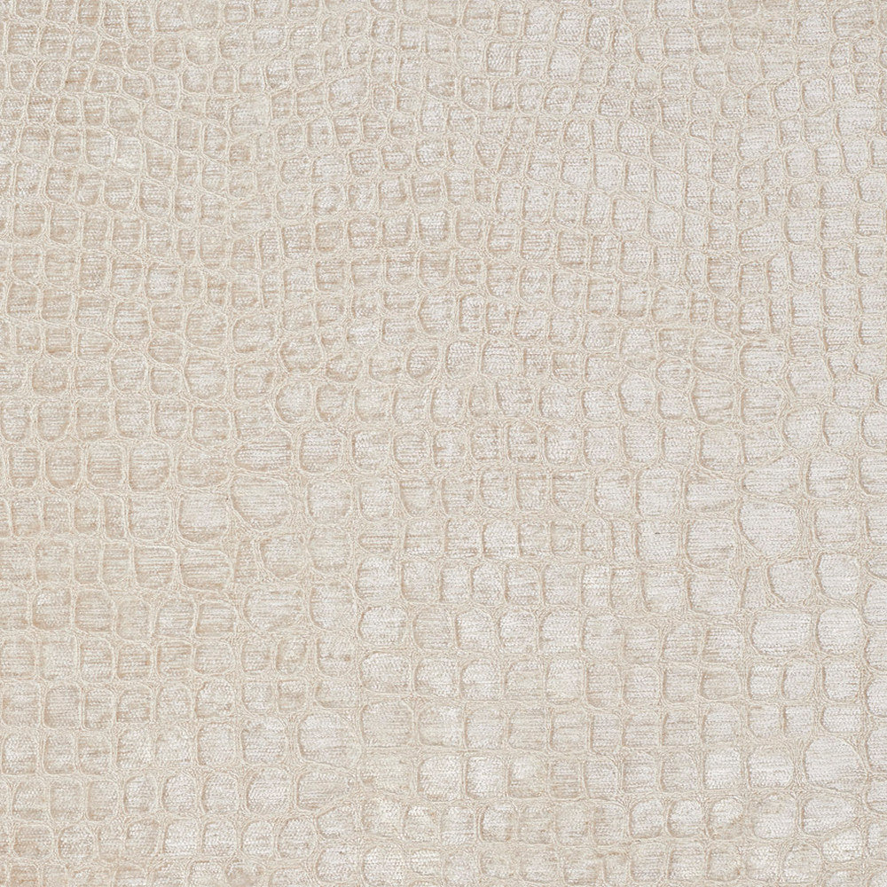 10151-02 by Charlotte Fabric Gemstones 100% Woven Polyester Asia Exceeds 120,000 Wyzenbeek Rubs (Heavy Duty) </p><p>Repeat: 54 Inches - Fabric Carolina -
