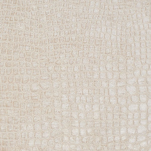 10151-02 by Charlotte Fabric