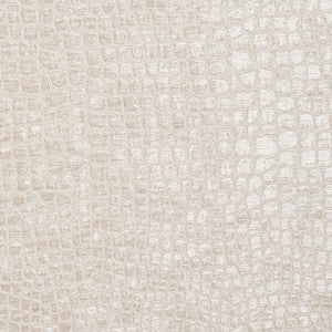 10151-05 by Charlotte Fabric