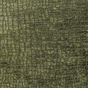 10151-16 by Charlotte Fabric
