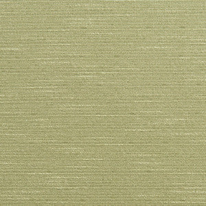 10200-06 by Charlotte Fabric