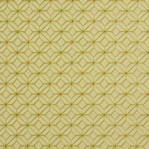 10210-02 by Charlotte Fabric