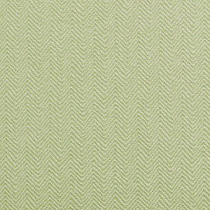 10220-02 by Charlotte Fabric