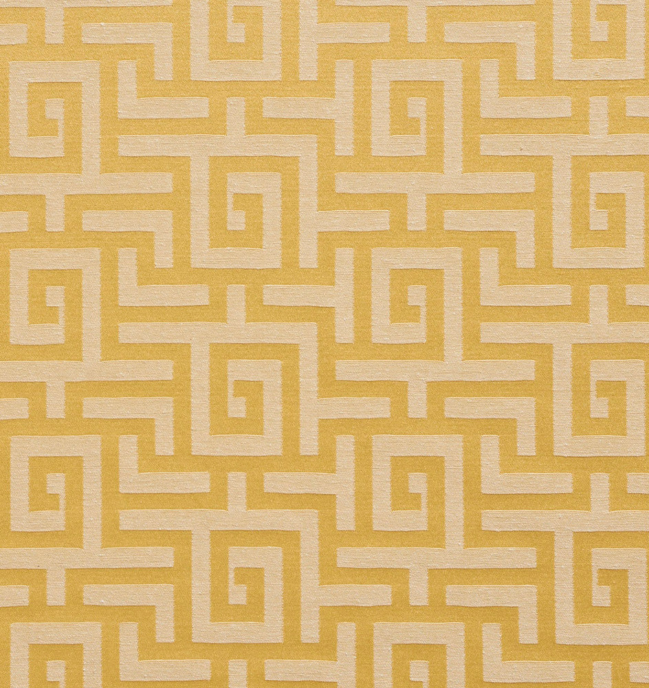 10270-05 by Charlotte Fabric Galleria 54% Cotton, 46% Polyester Asia Exceeds 200,000 Wyzenbeek Rubs (Heavy Duty) Horizontal: 3.5" x Vertical: 7" 54 Inches - Fabric Carolina -
