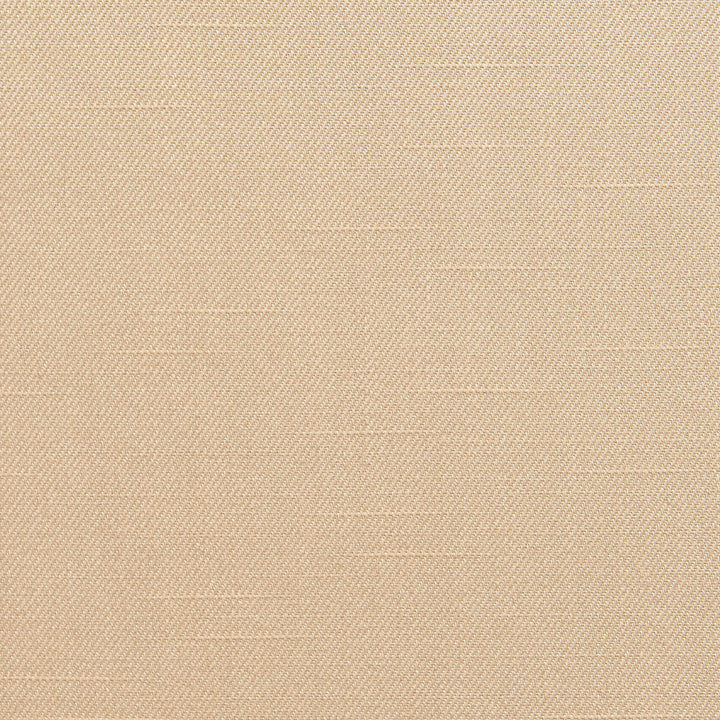 10280-02 by Charlotte Designer Fabric Galleria 57% Rayon, 43% Cotton Taiwan Exceeds 30,000 Wyzenbeek Rubs (Heavy Duty) No Repeat 54 Inches - Swanky Fabrics -