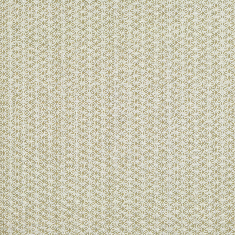 Athena Oyster 3 by P Kaufmann Fabrics Fabric