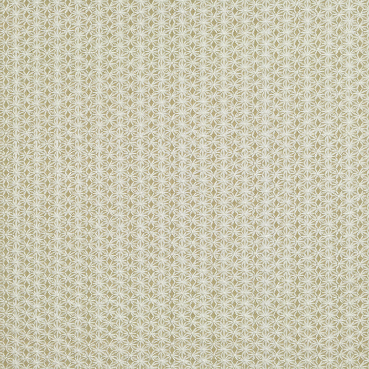 Athena Oyster 3 by P Kaufmann Fabrics Fabric