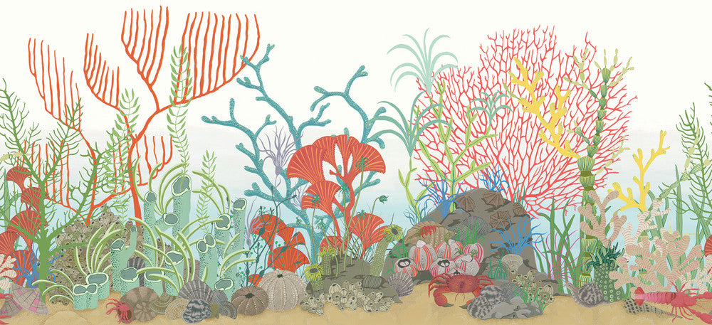 Archipelago Brd Multi-Colour by Cole & Son Wallcovering