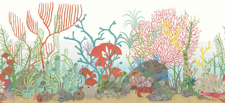 Archipelago Brd Multi-Colour by Cole & Son Wallcovering