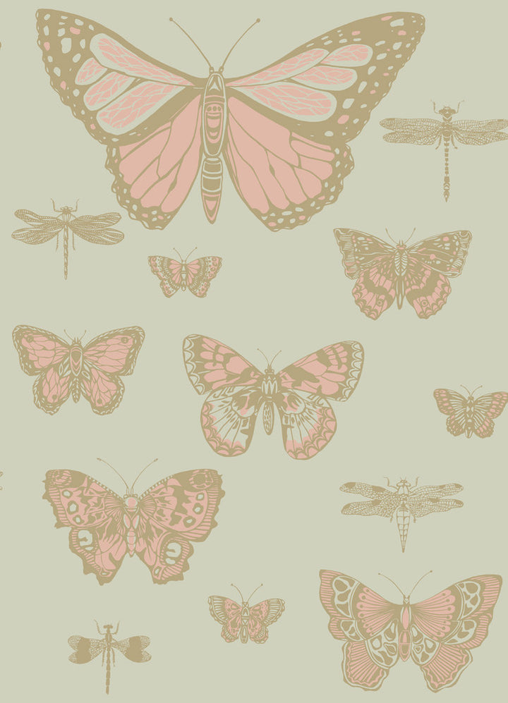 Butterflies & Dragonflies Pink On Oliv by Cole & Son Wallcovering