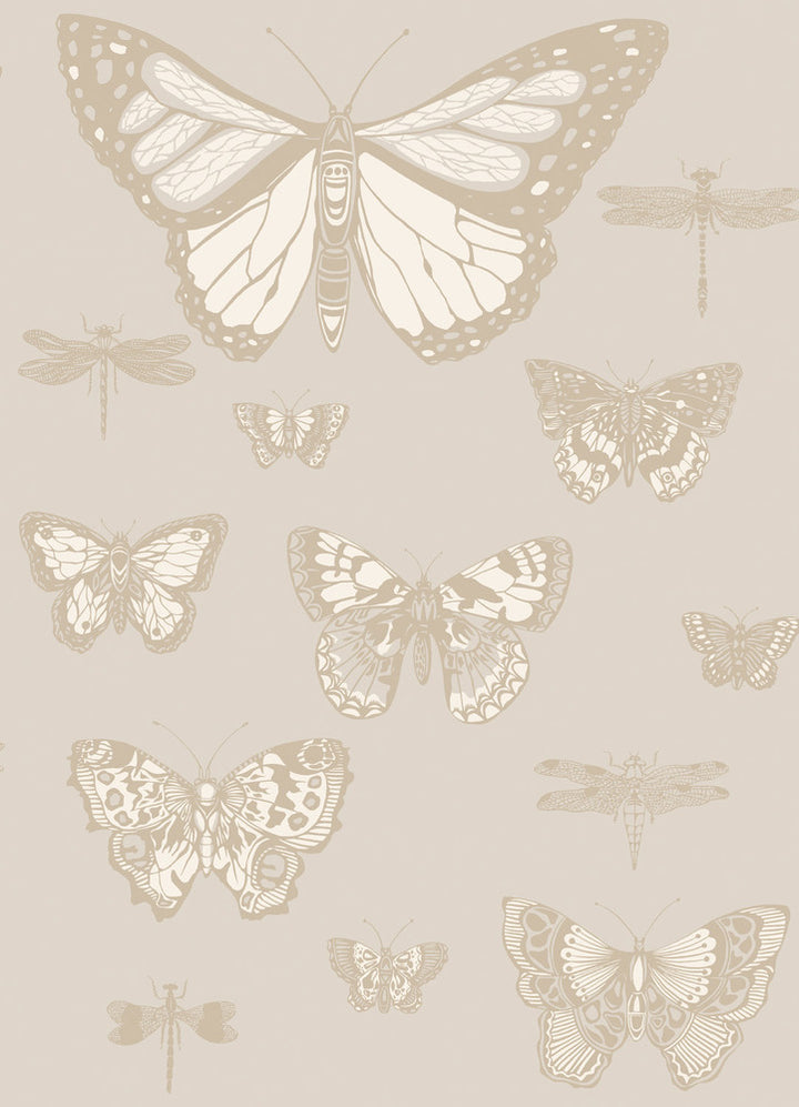 Butterflies & Dragonflies Grey by Cole & Son Wallcovering