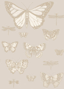 Butterflies & Dragonflies Grey by Cole & Son Wallcovering