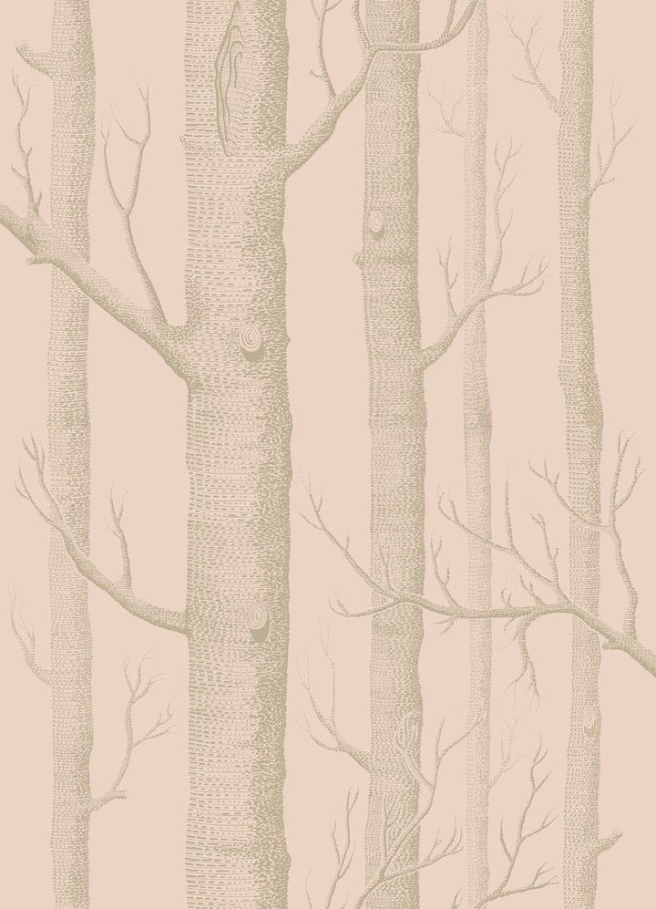 Woods Pink/Gilver by Cole & Son Wallcovering