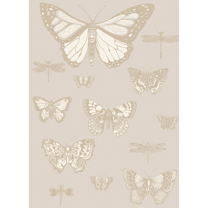 Butterflies & Dragonflies Grey by Cole & Son Wallcovering Cole & Son Wallcovering Butterflies & Dragonflies GreyWallcovering COLE & SON WHIMSICAL PAPER - 100% United Kingdom </p><p>Repeat: H: , V: 28.3 20.5 - Fabric Carolina -