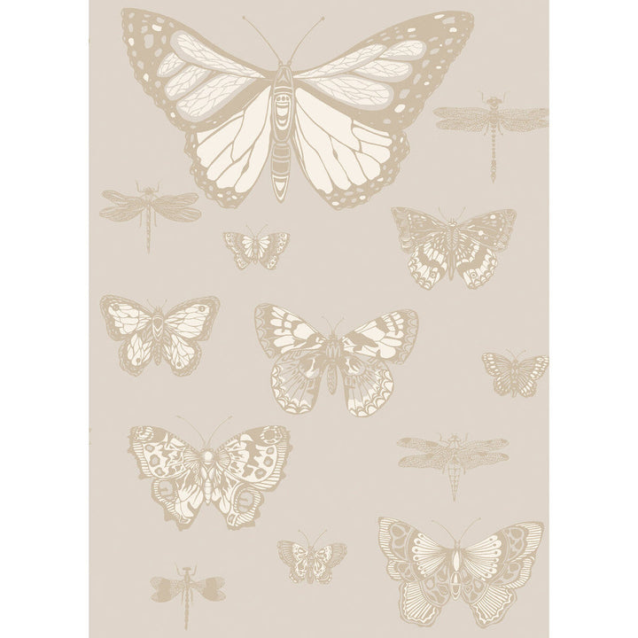 Butterflies & Dragonflies Grey by Cole & Son Wallcovering Cole & Son Wallcovering Butterflies & Dragonflies GreyWallcovering COLE & SON WHIMSICAL PAPER - 100% United Kingdom </p><p>Repeat: H: , V: 28.3 20.5 - Fabric Carolina -