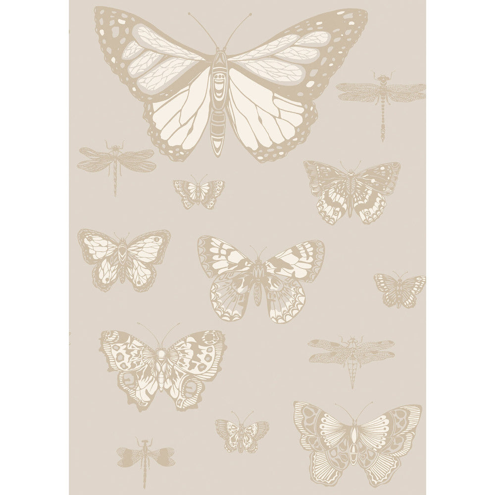 Butterflies & Dragonflies Grey by Cole & Son Wallcovering COLE & SON WHIMSICAL PAPER - 100% United Kingdom Horizontal: and Vertical: 28.3 20.5 - Fabric Carolina -