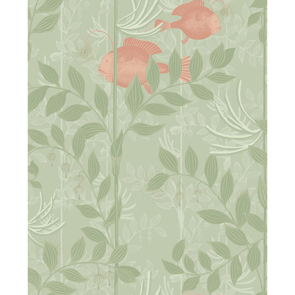 Nautilus Soft Green by Cole & Son Wallcovering COLE & SON WHIMSICAL PAPER - 100% United Kingdom Horizontal: and Vertical: 25.2 20.5 - Fabric Carolina -