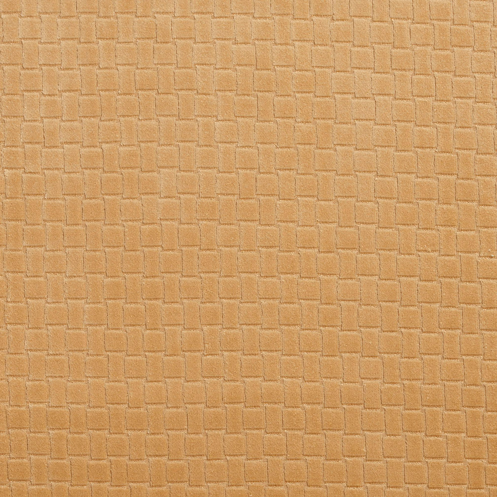 10400-07 by Charlotte Fabric Gemstones II 100% Woven Polyester Velvet Asia Exceeds 125,000 Wyzenbeek Rubs (Heavy Duty) Horizontal: .75" x Vertical: 1" 54 Inches - Fabric Carolina -